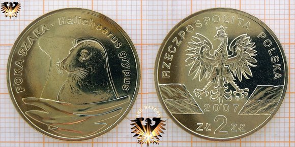 Münze: 2 Złote, Polen, 2007, Kegelrobbe - Halichoerus grypus - Schöne Gedenkmünze aus Polen © aukauf.de 
