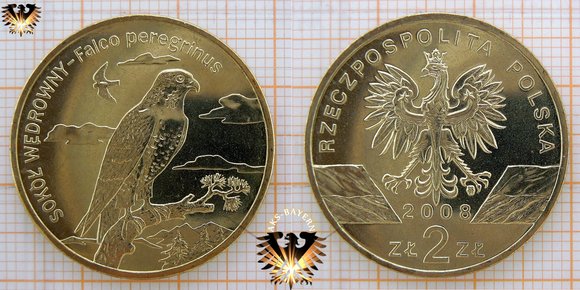 2 Złote / Zloty Umlaufgedenkmünze aus Polen, 2008, mit einer herrlichen Darstellung eines Wanderfalken